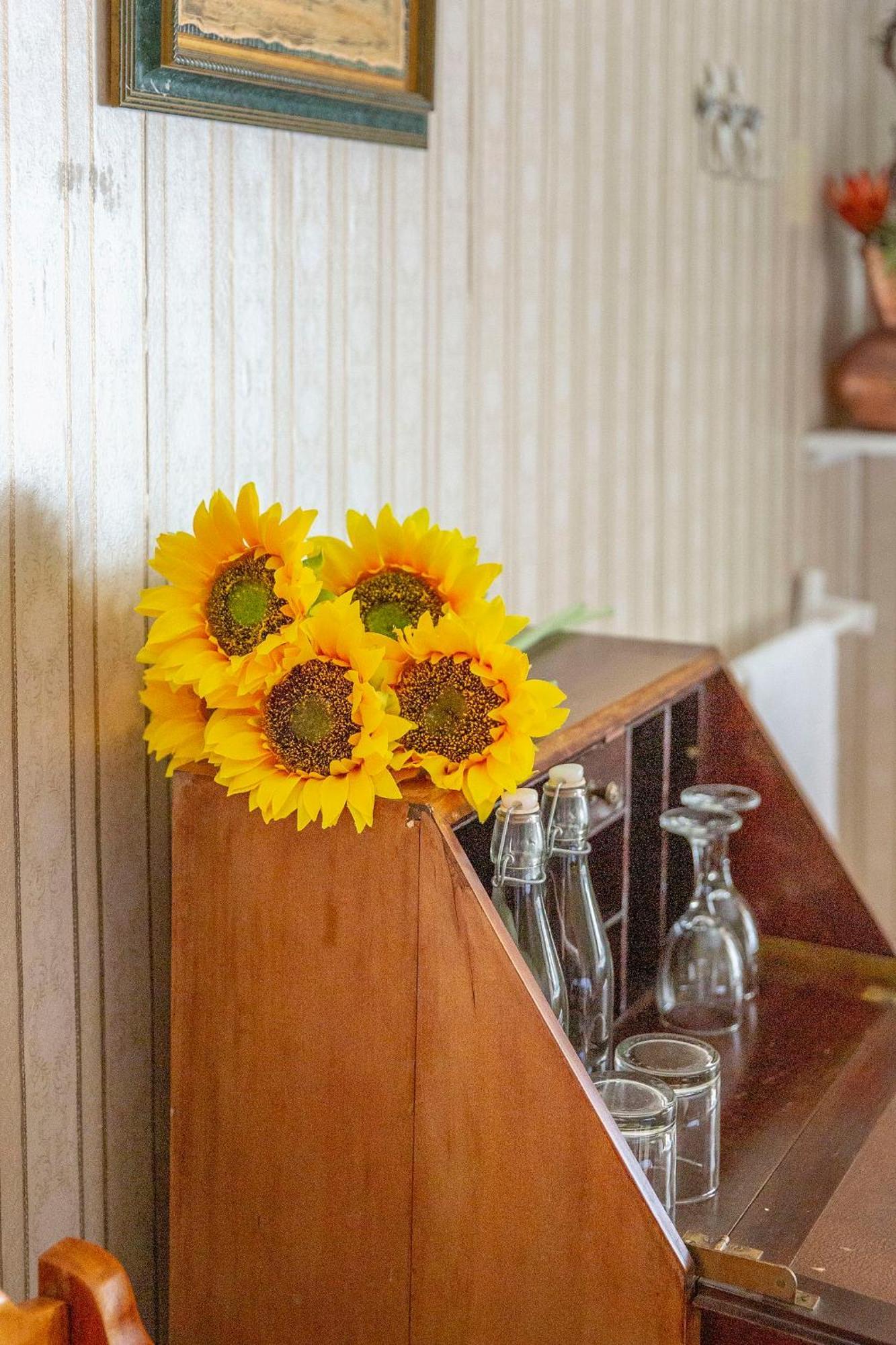 Airlies Historical Guest House Montagu Luaran gambar